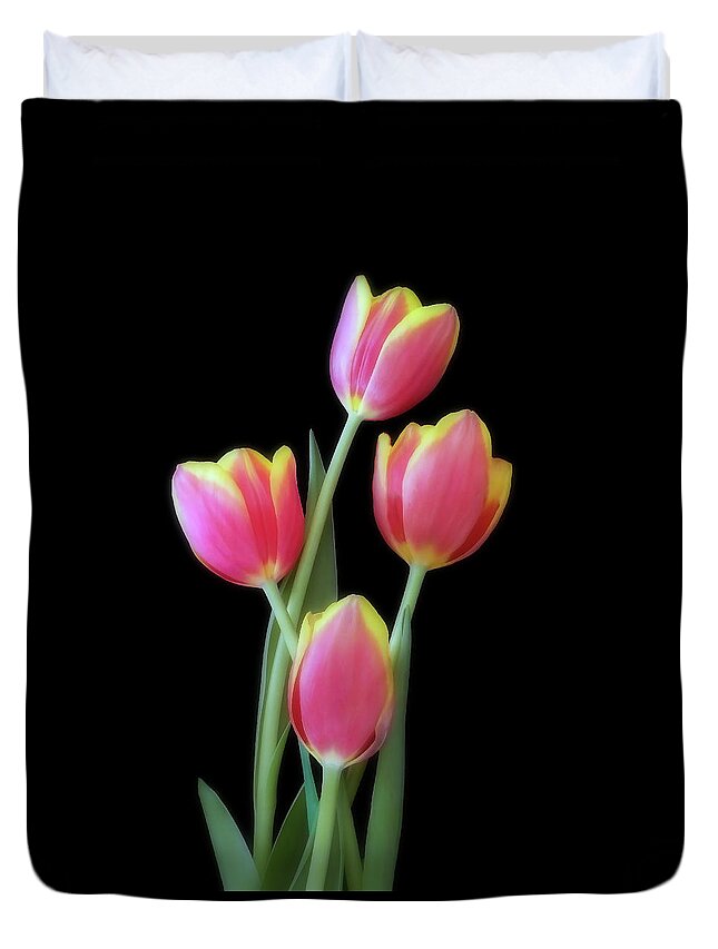 Tulips Duvet Cover featuring the photograph Four Red And Yellow Tulips by Johanna Hurmerinta