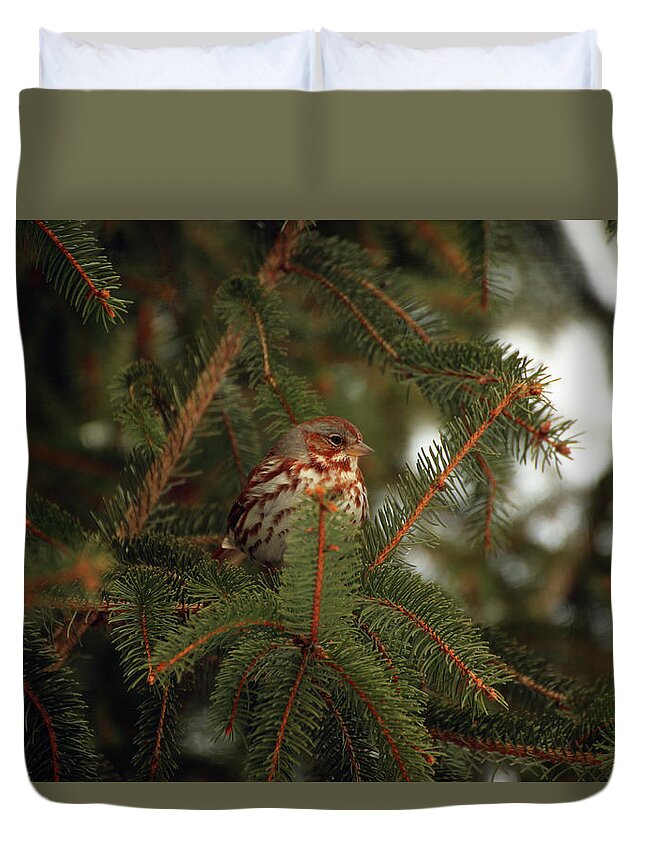 Laurie Lago Rispoli Duvet Cover featuring the photograph Fox Sparrow in profile by Laurie Lago Rispoli