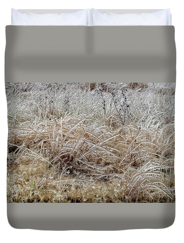 Fine Art Duvet Cover featuring the photograph Fragile Grass by Robert Harris
