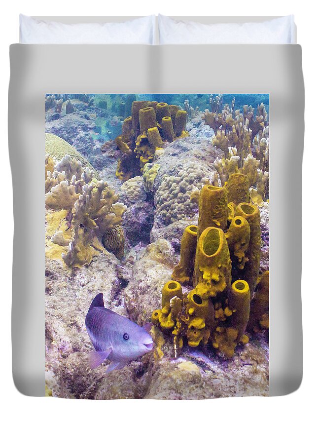 Ocean Duvet Cover featuring the photograph Friendly Queen by Lynne Browne