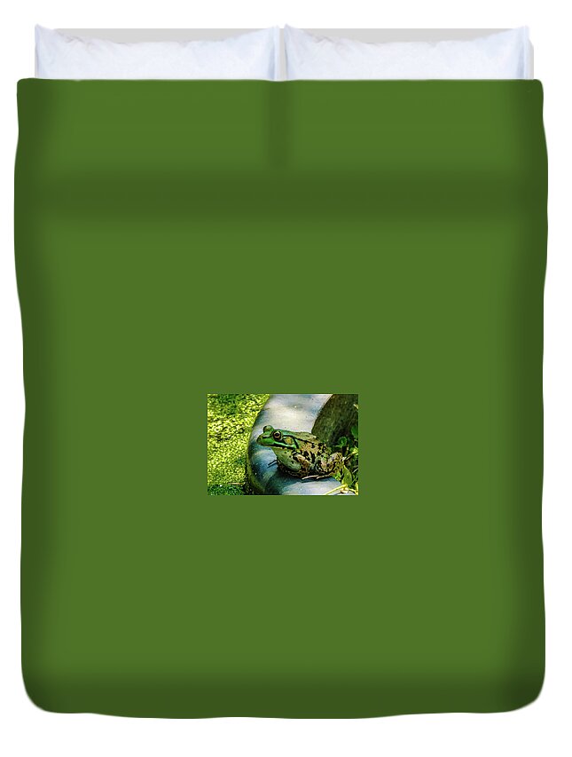 Animals Duvet Cover featuring the photograph Frog Hollow by Louis Dallara