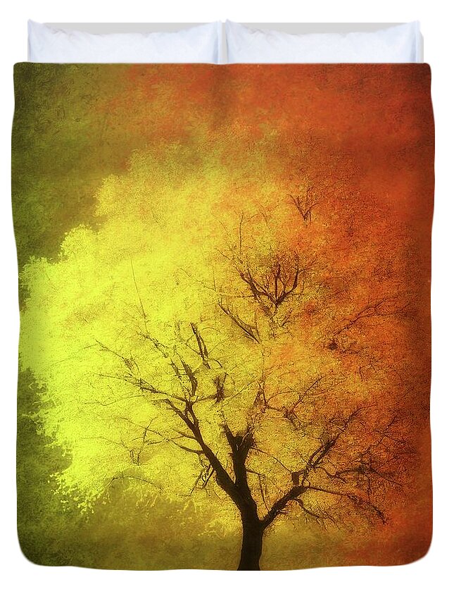 Summer Duvet Cover featuring the photograph From Summer To Fall by James DeFazio