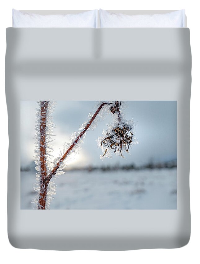 Frost Duvet Cover featuring the photograph Frost On A Winter Annual by Karen Rispin