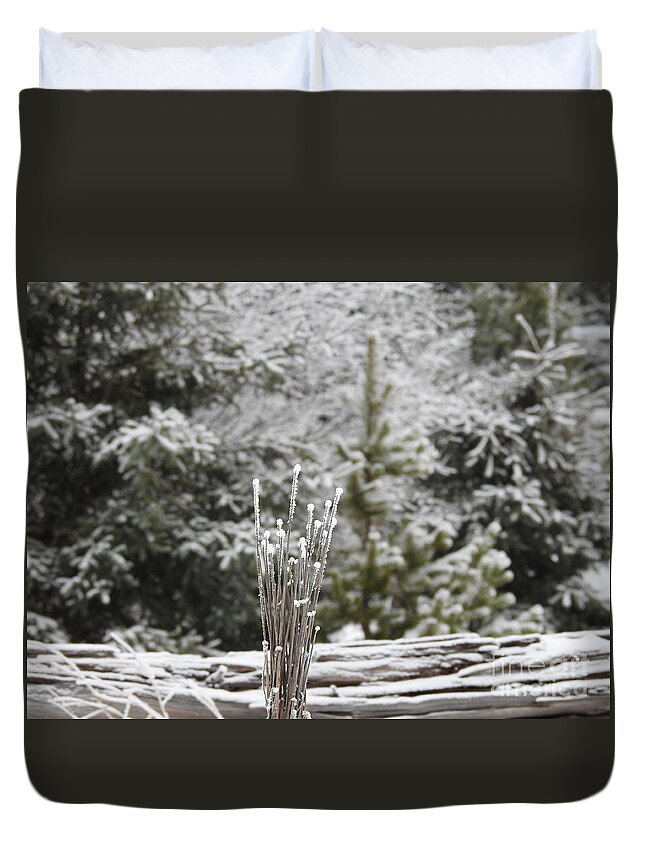 Frost Duvet Cover featuring the photograph Frosted summer by Nicola Finch