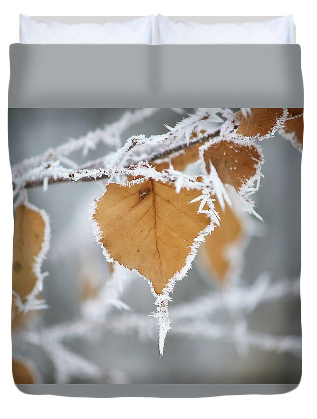 Frosty Birch Leaf Duvet Cover featuring the photograph Frosty Birch Leaf by Brook Burling
