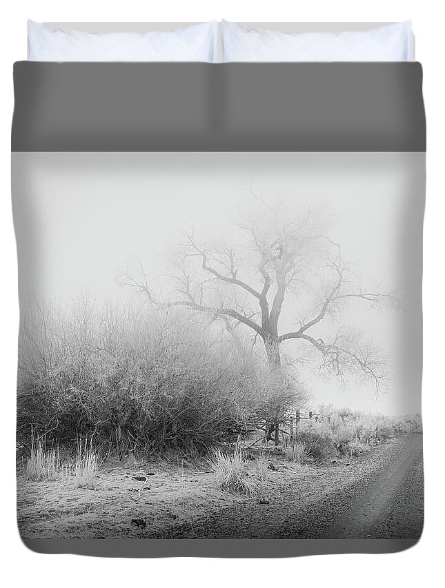 Nature Duvet Cover featuring the photograph Frosty Cottonwood in Fog - Monochrome by Mike Lee