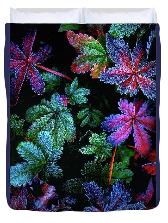 Frost Duvet Cover featuring the photograph Frosty Fall by Darren White