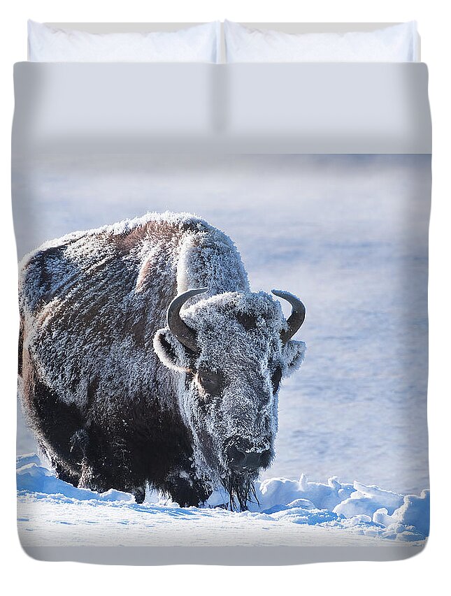 Bison Duvet Cover featuring the photograph Frozen Bison by Linda Villers