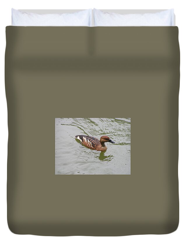 Audubon Zoo Duvet Cover featuring the photograph Fulvous Whistling Duck by Heather E Harman