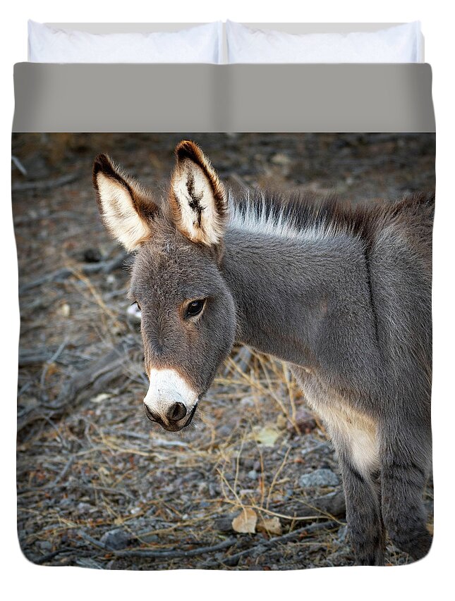 Wild Burros Duvet Cover featuring the photograph Fuzzy Ears by Mary Hone