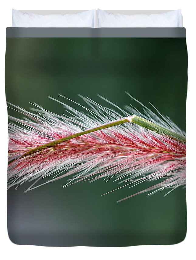 Grass Duvet Cover featuring the photograph Fuzzy Grass by David Beechum