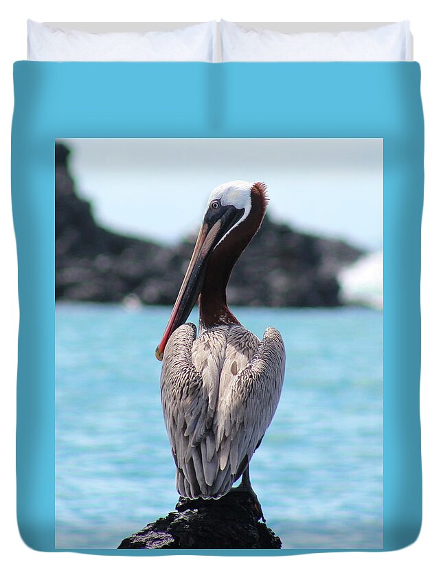 Brown Duvet Cover featuring the photograph Galapagos Pelican by Joy Buckels