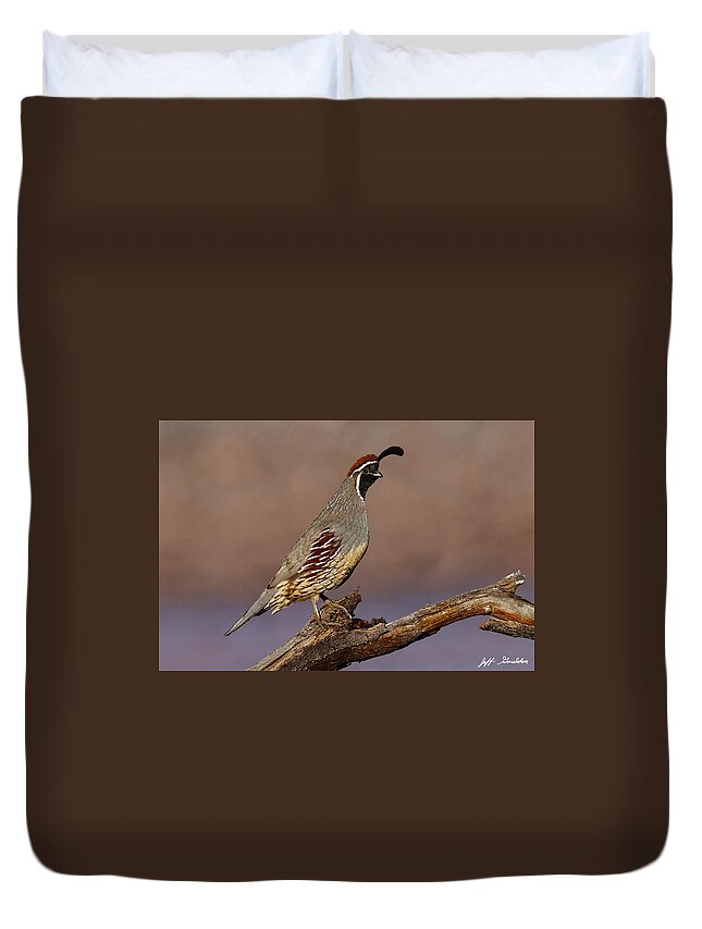 Animal Duvet Cover featuring the photograph Gambel's Quail Perched on a Branch by Jeff Goulden