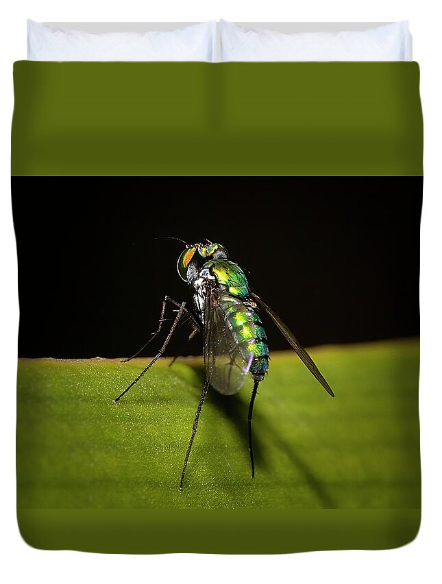 Long Legged Fly Duvet Cover featuring the photograph Garden Fly Prepares For Takeoff by Mark Andrew Thomas