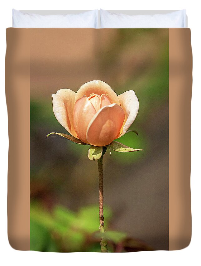 Rose Duvet Cover featuring the photograph Garden Rose by Jerry Connally