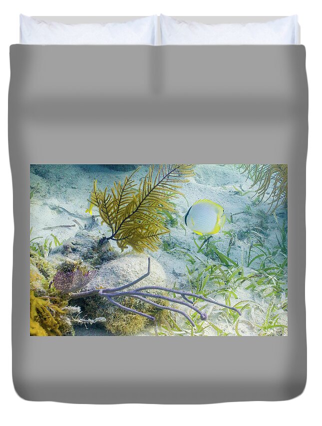 Animals Duvet Cover featuring the photograph Garden Spot by Lynne Browne