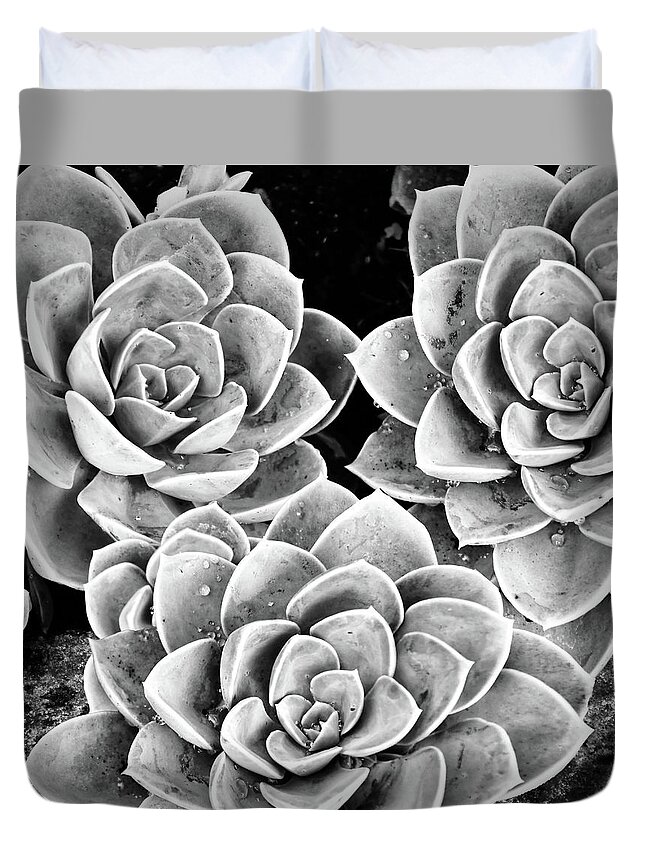 Black Duvet Cover featuring the photograph Garden Succulent Botanicals IV Black and White by Debra and Dave Vanderlaan