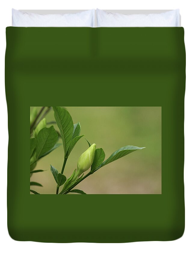  Duvet Cover featuring the photograph Gardenia Bud by Heather E Harman