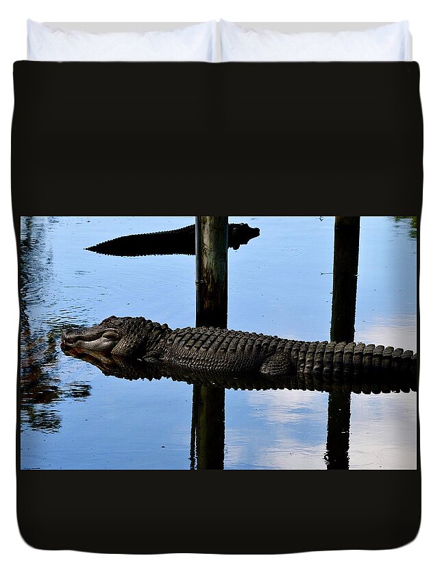 Gator Illusion Duvet Cover featuring the photograph Gator Illusion by Warren Thompson