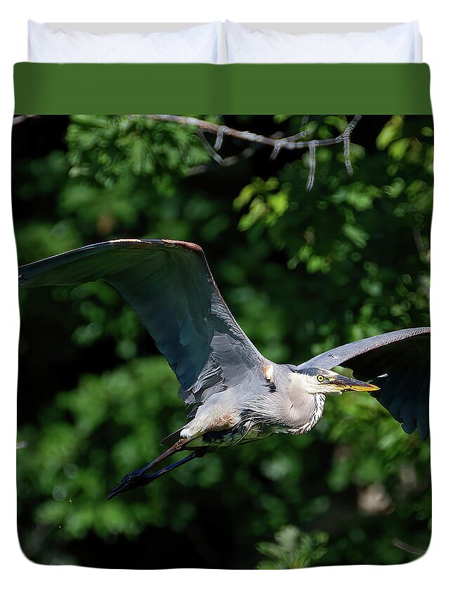 Heron Duvet Cover featuring the photograph GBH Fly-by by Flinn Hackett
