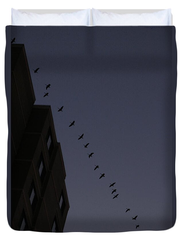 Flying Geese Geese Flying Sunrise Dawn Dark Blue Morning Highrise Duvet Cover featuring the photograph Geese Fly over Landmark Just Before Dawn March 3 2021 by Miriam A Kilmer