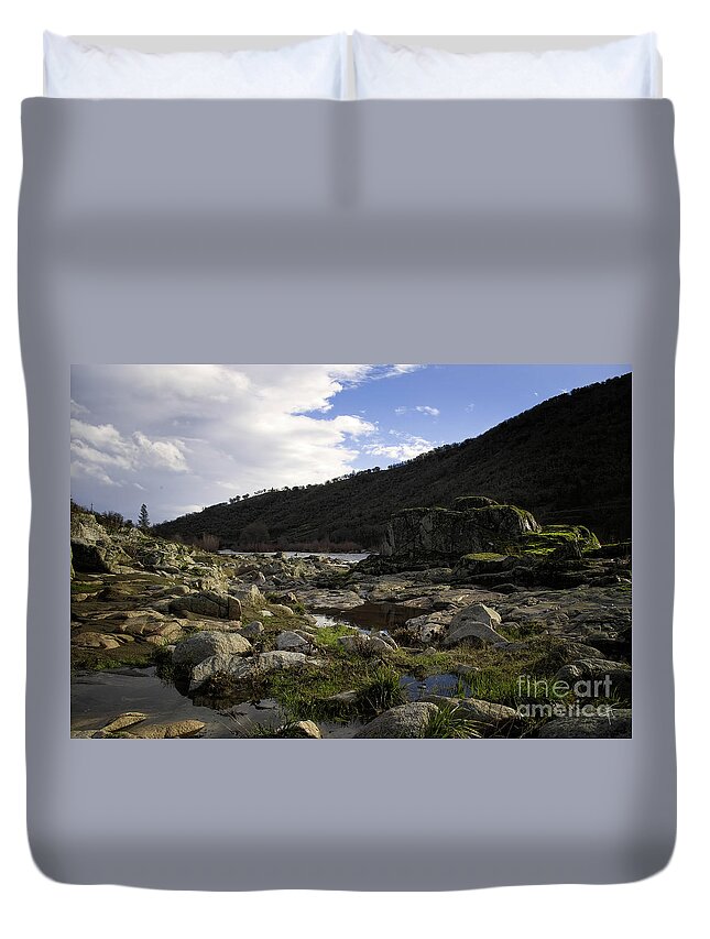 Goose Duvet Cover featuring the photograph Geese on the Rouge River I by Theresa Fairchild