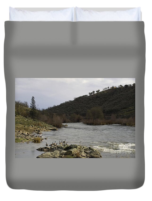 Geese Duvet Cover featuring the photograph Geese on the Rouge River III by Theresa Fairchild