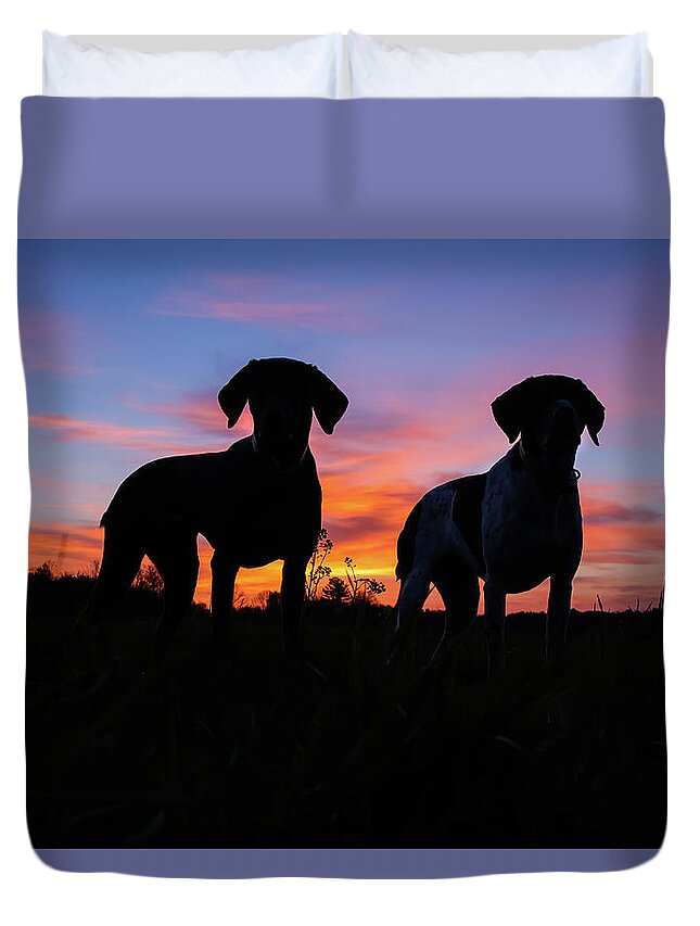 German Shorthaired Duvet Cover featuring the photograph German Shorthaired Pointers by Brook Burling