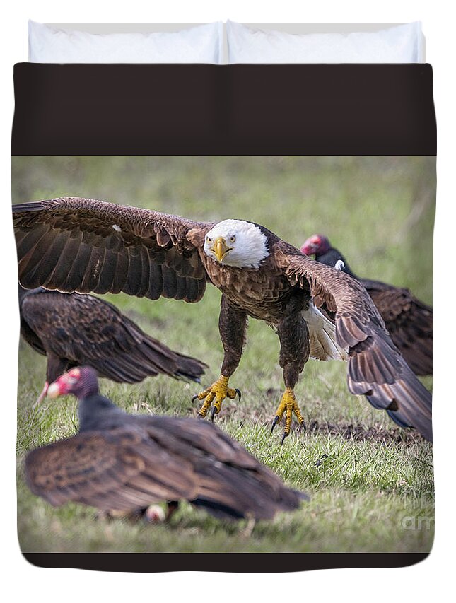 Eagle Duvet Cover featuring the photograph Get Outta Here Buzzard by Tom Claud