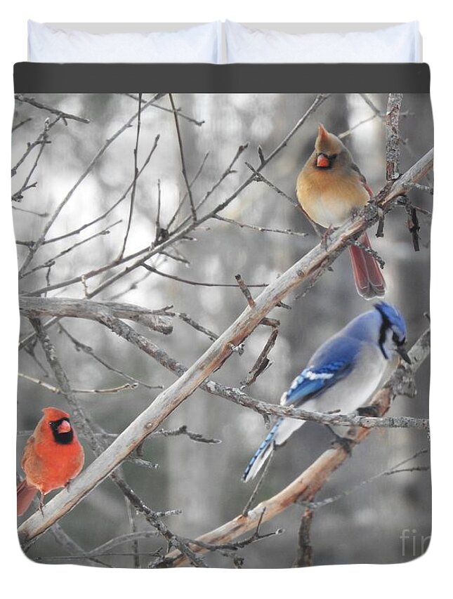 Cardinals Duvet Cover featuring the photograph Getting Along by Eunice Miller