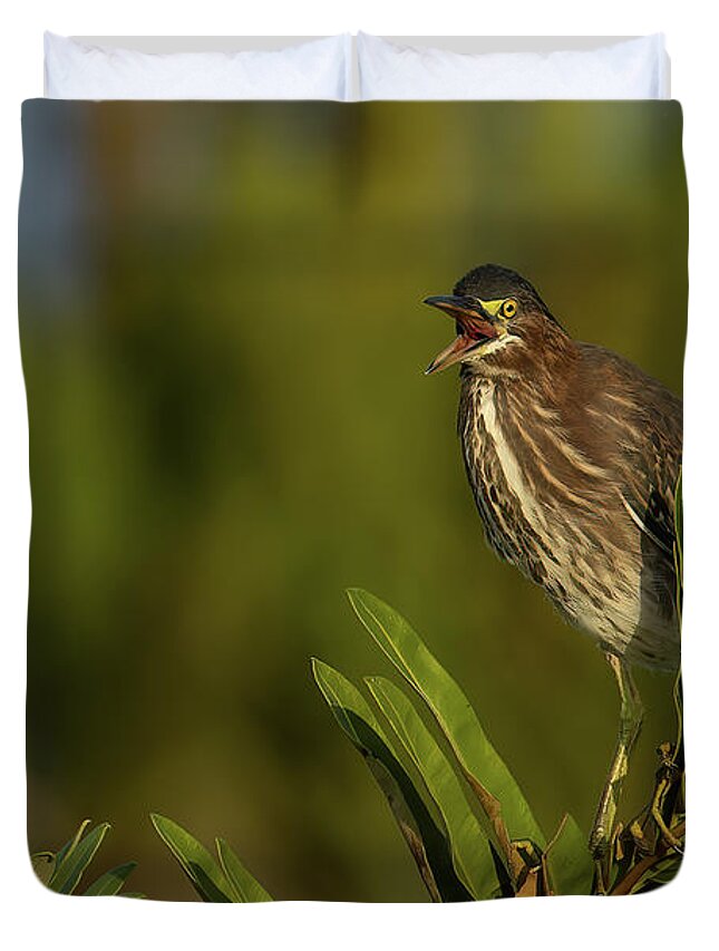 Green Heron Duvet Cover featuring the photograph GH Talking 1 by RD Allen