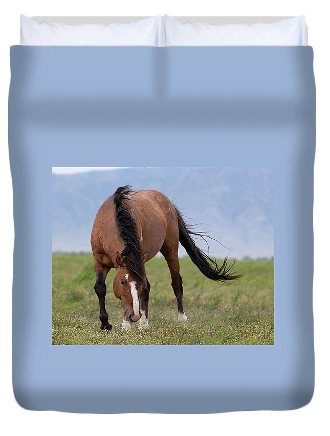 Wild Horses Duvet Cover featuring the photograph Ghost by Mary Hone