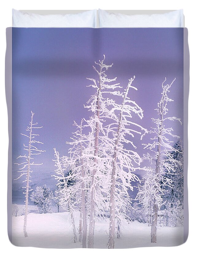 North America Duvet Cover featuring the photograph Ghost Trees in Yellowstone National Park by Dave Welling