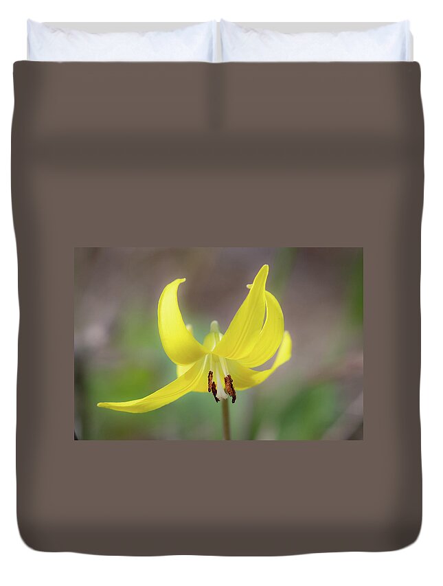 Flowers Duvet Cover featuring the photograph Glacier Lily by Julie Argyle