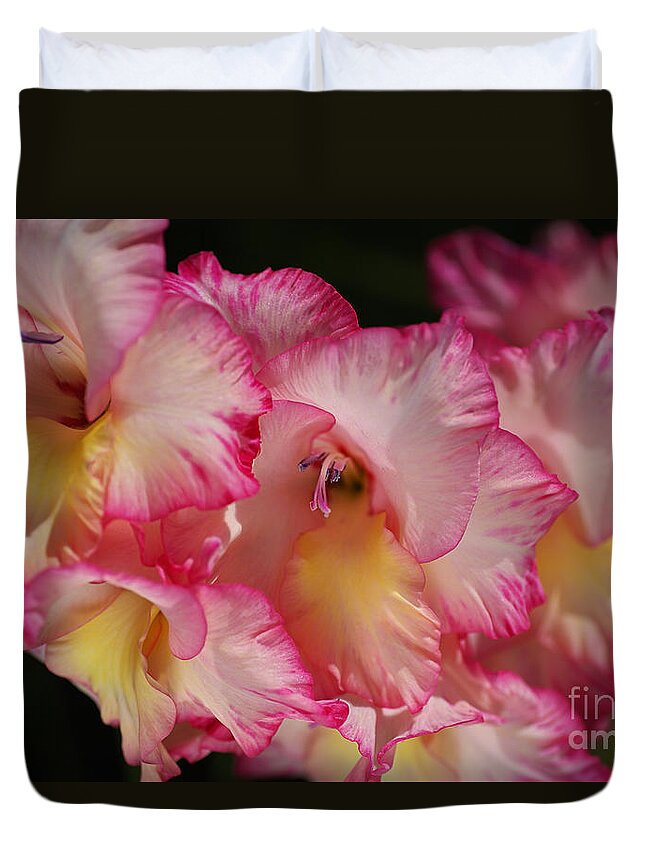 Hortulanus Art Duvet Cover featuring the photograph Gladiolus Flowers Display by Joy Watson