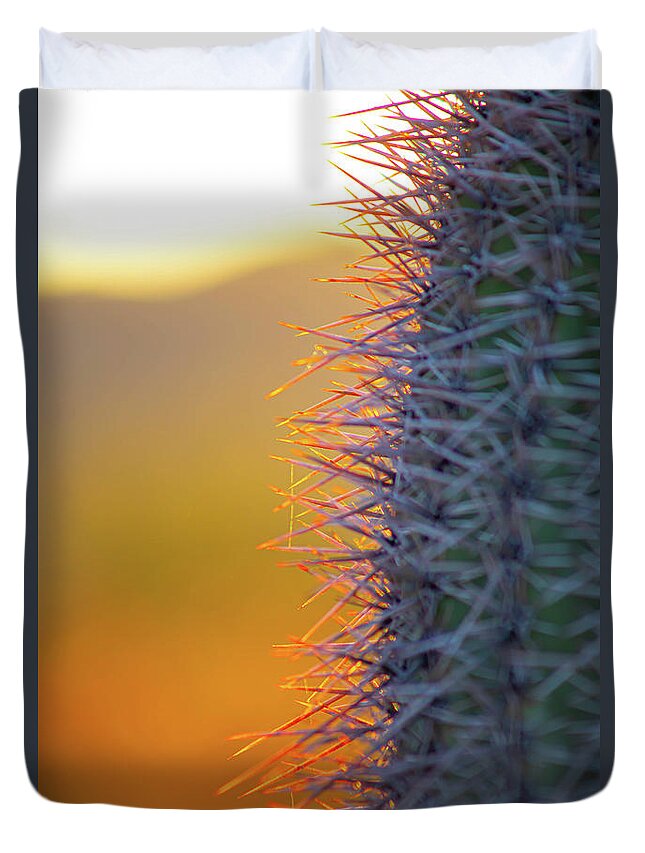 California Duvet Cover featuring the photograph Glowing Cactus Needles by Go and Flow Photos
