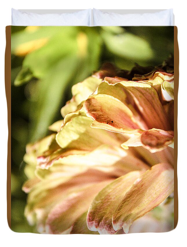 Zinnia Elegans Duvet Cover featuring the photograph Glowing Petals by W Craig Photography
