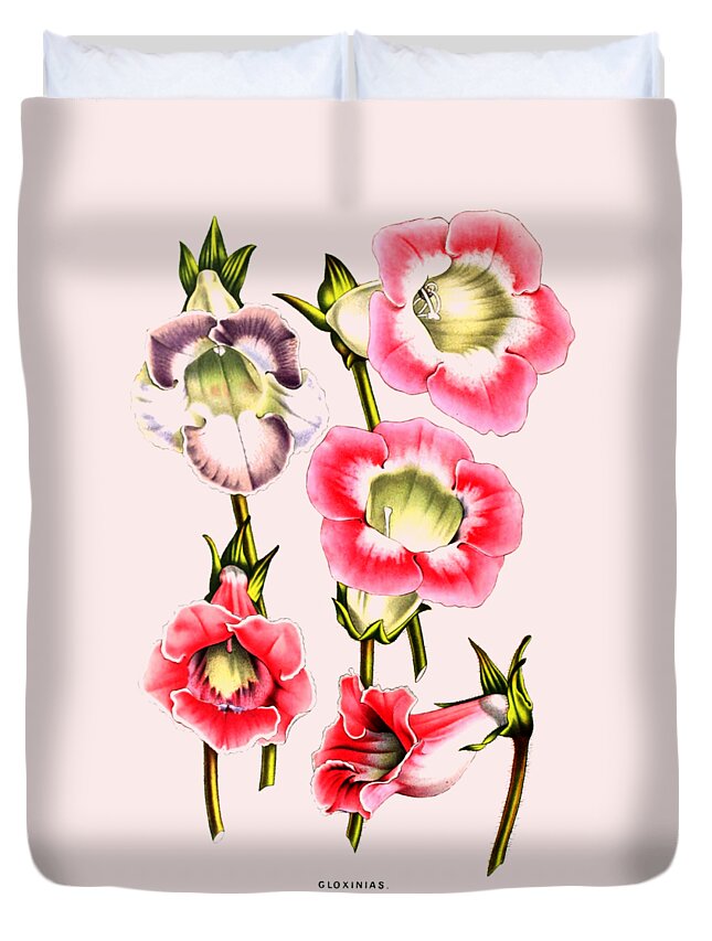 Gloxinias Duvet Cover featuring the digital art Gloxinia Flowers by Madame Memento