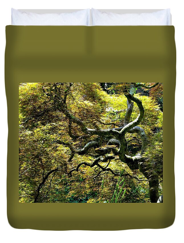 Trees Duvet Cover featuring the photograph Gnarly Tree Closeup by Linda Stern