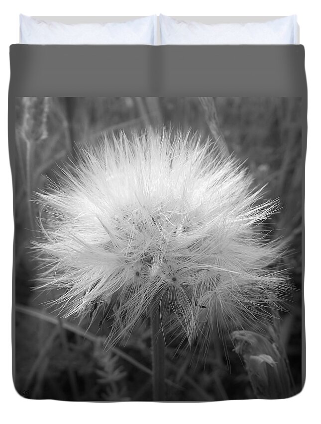 Black And White Duvet Cover featuring the photograph Goatsbeard Puffball Seedhead in Black and White by Shelli Fitzpatrick