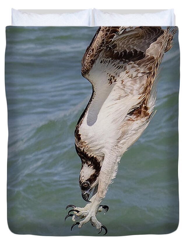 Osprey Duvet Cover featuring the photograph Going In by RD Allen