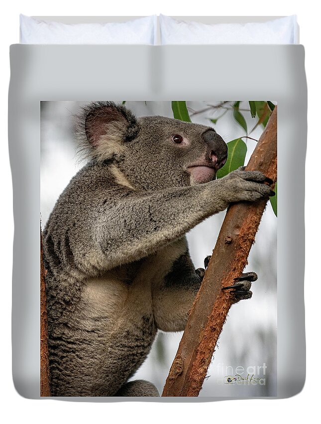 San Diego Zoo Duvet Cover featuring the photograph Going Up by David Levin
