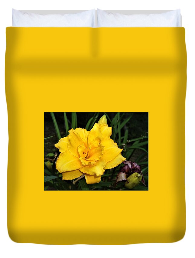 Flower Duvet Cover featuring the photograph Gold Ruffled Day Lily by Nancy Ayanna Wyatt