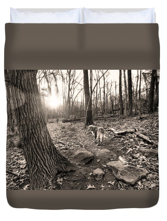 Lake Duvet Cover featuring the digital art Golden and Sunset by Russ Considine