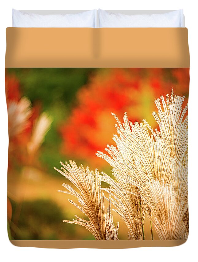 New Hampshire Duvet Cover featuring the photograph Golden Autumn Grass by Jeff Sinon