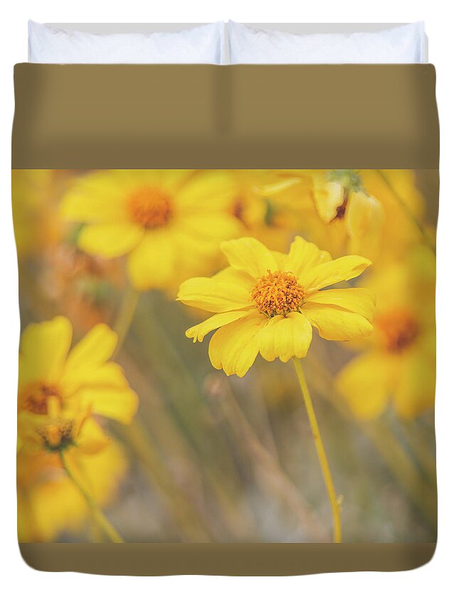 Spring Duvet Cover featuring the photograph Golden Brittlebush by Teresa Wilson
