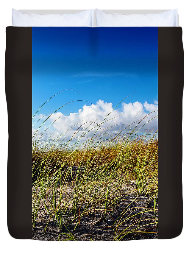 Clouds Duvet Cover featuring the photograph Golden Dune Grasses II by Debra and Dave Vanderlaan