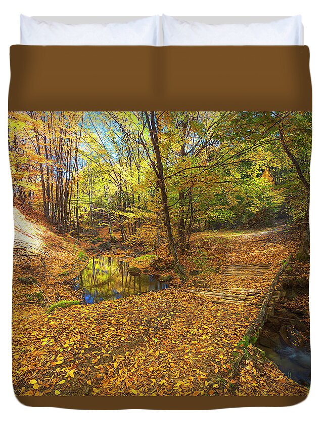 Bulgaria Duvet Cover featuring the photograph Golden River by Evgeni Dinev