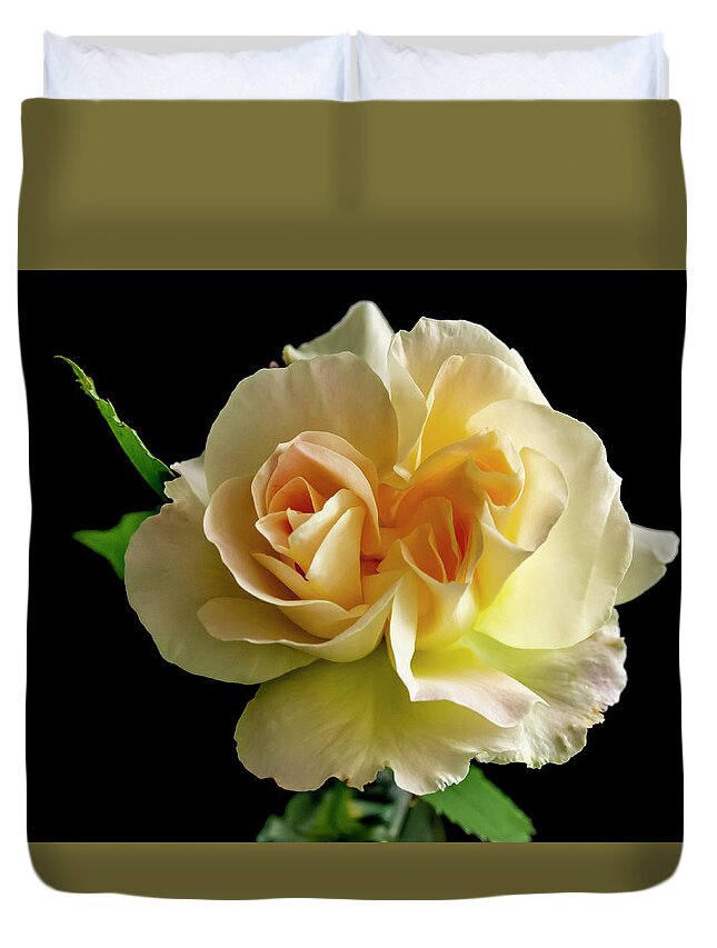 Flower Duvet Cover featuring the photograph Golden Rose by Cathy Kovarik