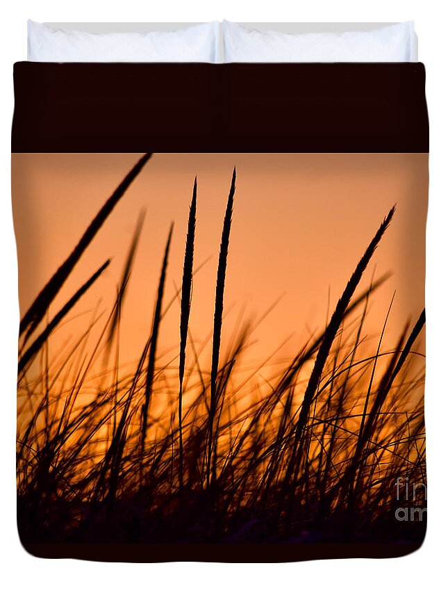 Grass Duvet Cover featuring the photograph Golden Sunset Beach Grass by Debra Banks
